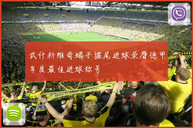 武什科维奇蝎子摆尾进球荣膺德甲年度最佳进球称号